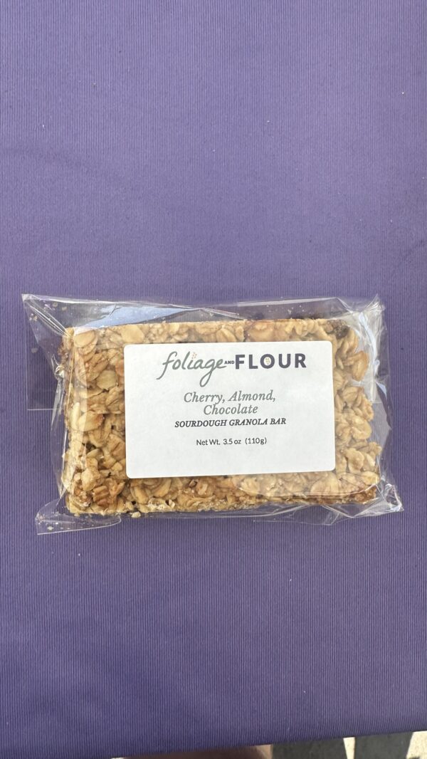 Sourdough Granola Bar